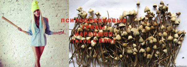 стафф Бугульма